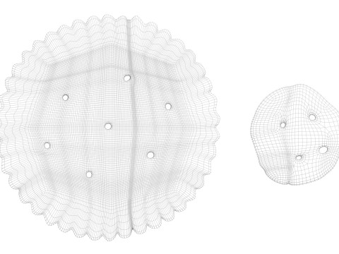 Circle Crackers Model 3D