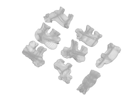 Animal Crackers 3D Model