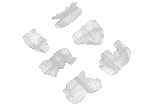 Animal Crackers 3D Model
