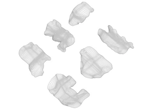 Animal Crackers 3D Model