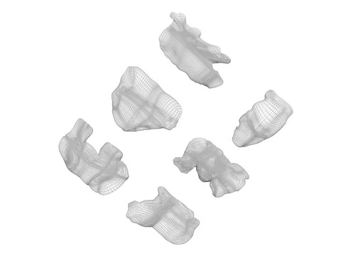 Animal Crackers 3D Model