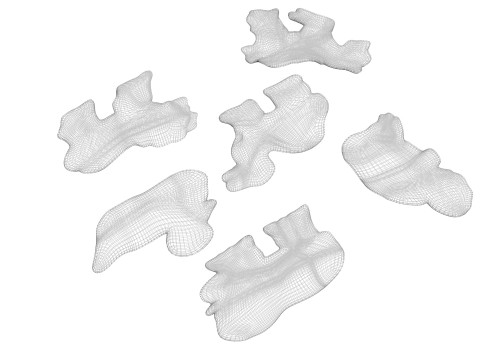 Animal Crackers Modello 3D