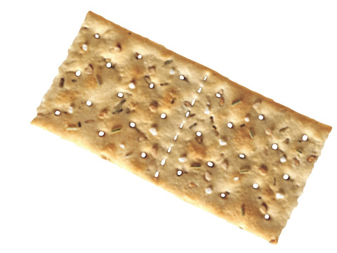 Bio Cracker 3D 모델