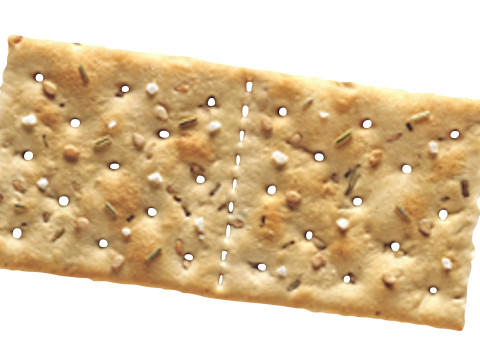 Bio Cracker 3D 모델