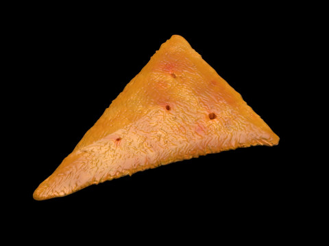 Triangle Cracker Model 3D
