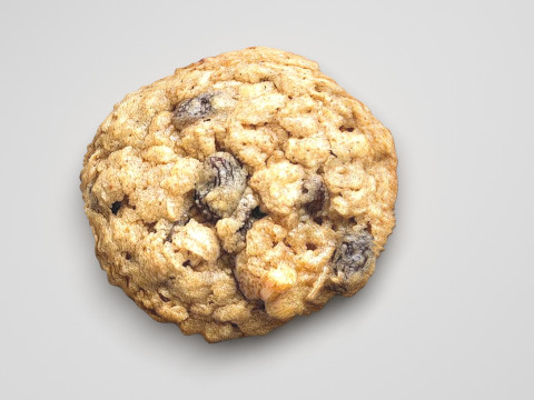 Oat Flakes Round Cracker 3D Model