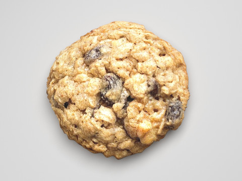 Oat Flakes Round Cracker 3D मॉडल