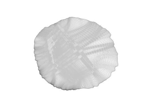 Kerupuk Bulat Serpihan Oat Model 3D