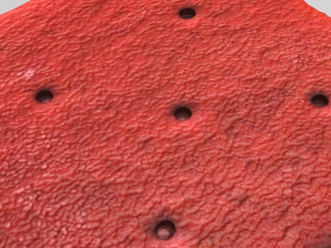 Red Cracker 3D Модель