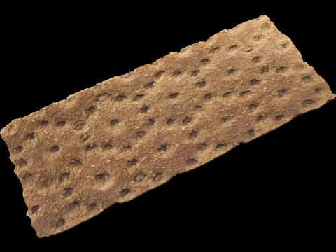 Brown Cracker Bread 3D Model