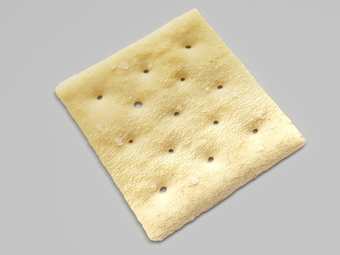 Square Cracker 3D 模型