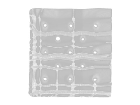 Square Cracker Model 3D