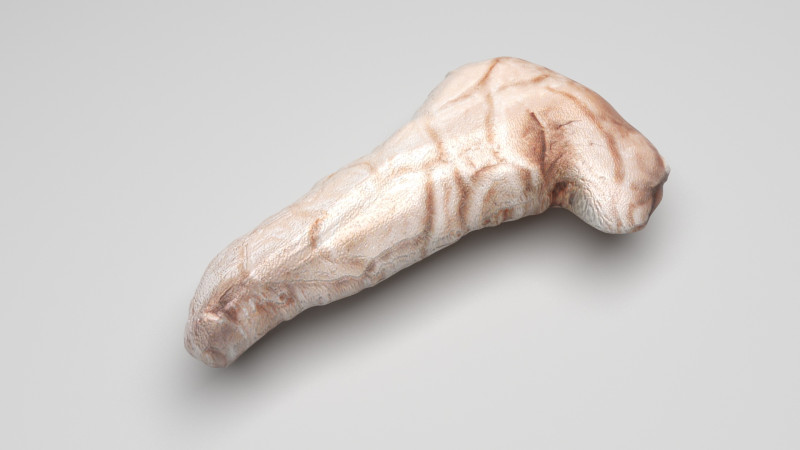 Pancreas 3D Модель .c4d .max .obj .3ds .fbx .stl .blend 