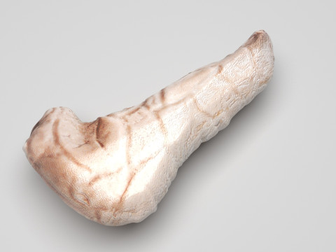 Pancreas 3D Модель