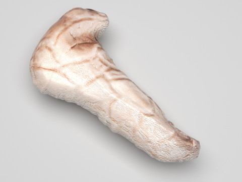 Pancreas 3D Модель