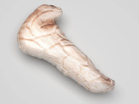 Pancreas 3D Model
