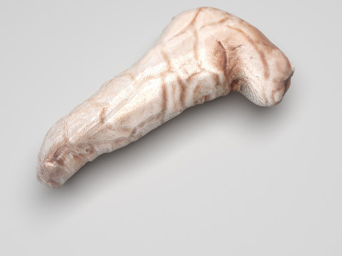 Pancreas 3D Модель