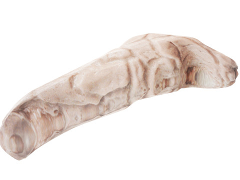 Pancreas 3D Модель