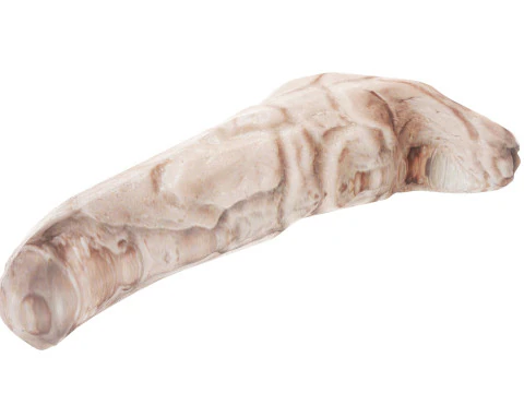 Pancreas 3D Model