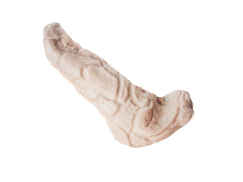 Pancreas 3D Модель