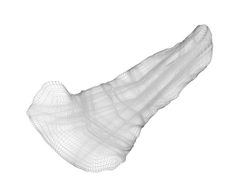 Pancreas 3D Модель