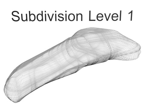 Pancreas 3D Модель