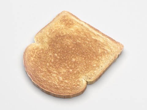 Toast Modello 3D