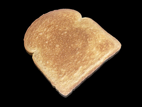 Toast Modello 3D