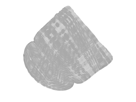 Toast Modello 3D