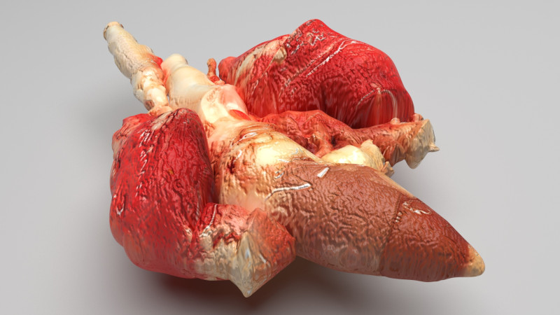 Chicken Lungs 3D 모델 .c4d .max .obj .3ds .fbx .stl .blend 