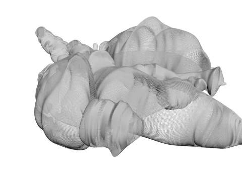 Chicken Lungs 3D Model