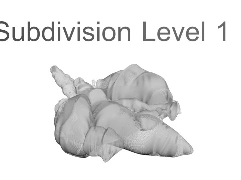 Chicken Lungs 3D Model