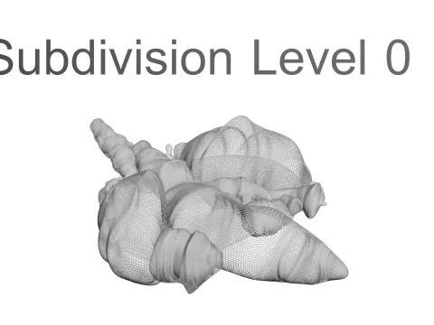 Chicken Lungs 3D Model