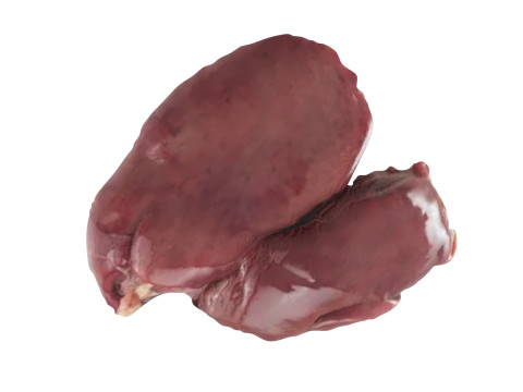 Chicken Liver 3D Modell