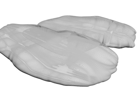 Chicken Liver 3D Modell