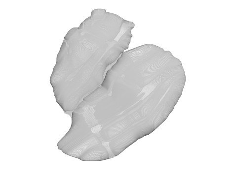 Chicken Liver 3D Modell