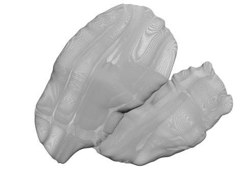 Chicken Liver 3D Modell