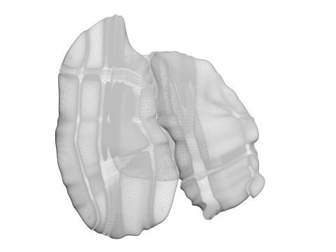 Chicken Liver 3D Modell