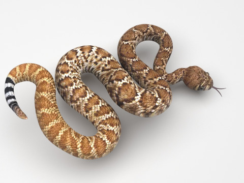 Viper Snake Modèle 3D