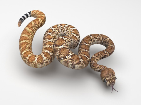 Viper Snake Modèle 3D