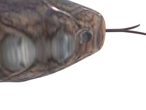 Crowned Snake Model 3D