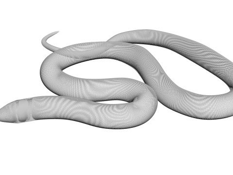 Crowned Snake Model 3D