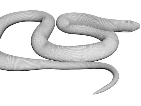 Crowned Snake 3D Model
