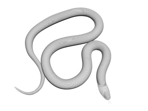 Crowned Snake Model 3D
