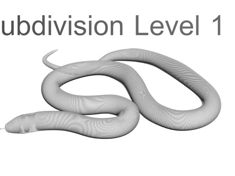 Crowned Snake Model 3D