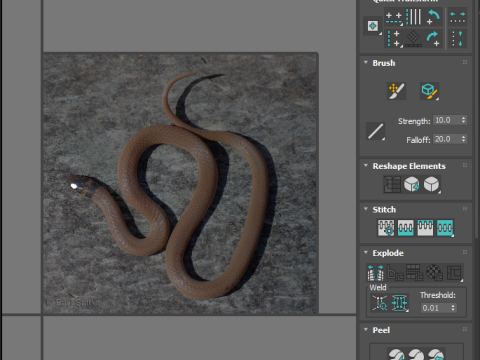 Crowned Snake Model 3D