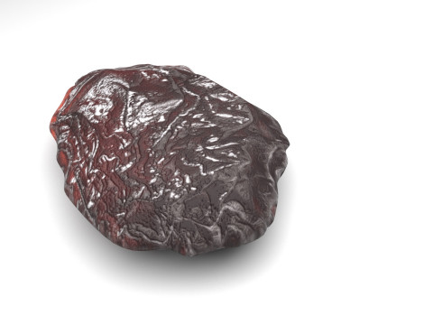 Raisin 3D Model