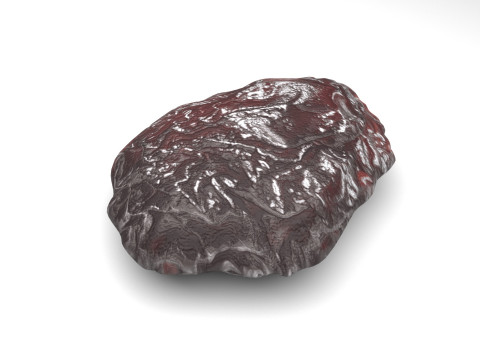Raisin 3D 모델