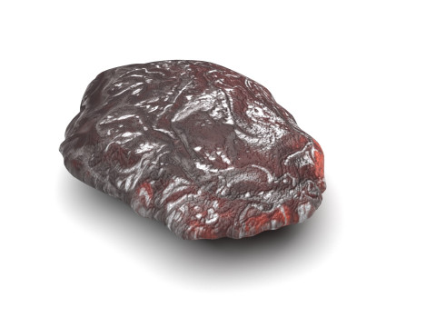 Raisin 3D 모델