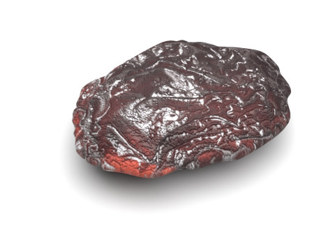 Raisin 3D 모델